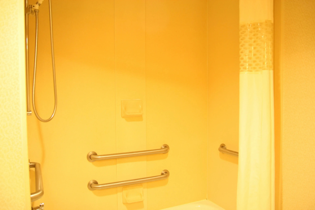 Hampton Inn & Suites Atlanta Airport North I-85 - Général