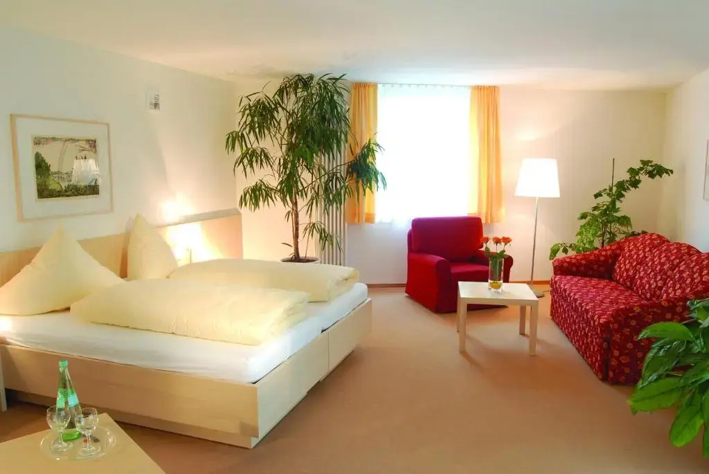 Comfort Double room (full double bed)