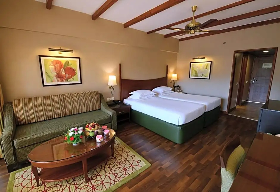 Deluxe Double room (full double bed)