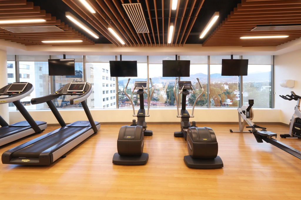 Holiday Inn Hotel & Suites Medica Sur by IHG - Général
