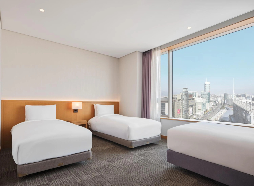 Sotetsu Hotels The Splaisir Seoul Dongdaemun - Général