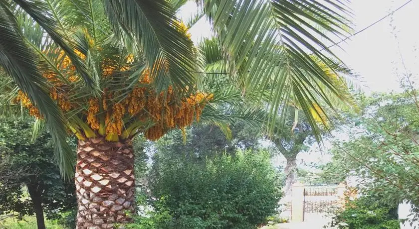 Huerta del Sol