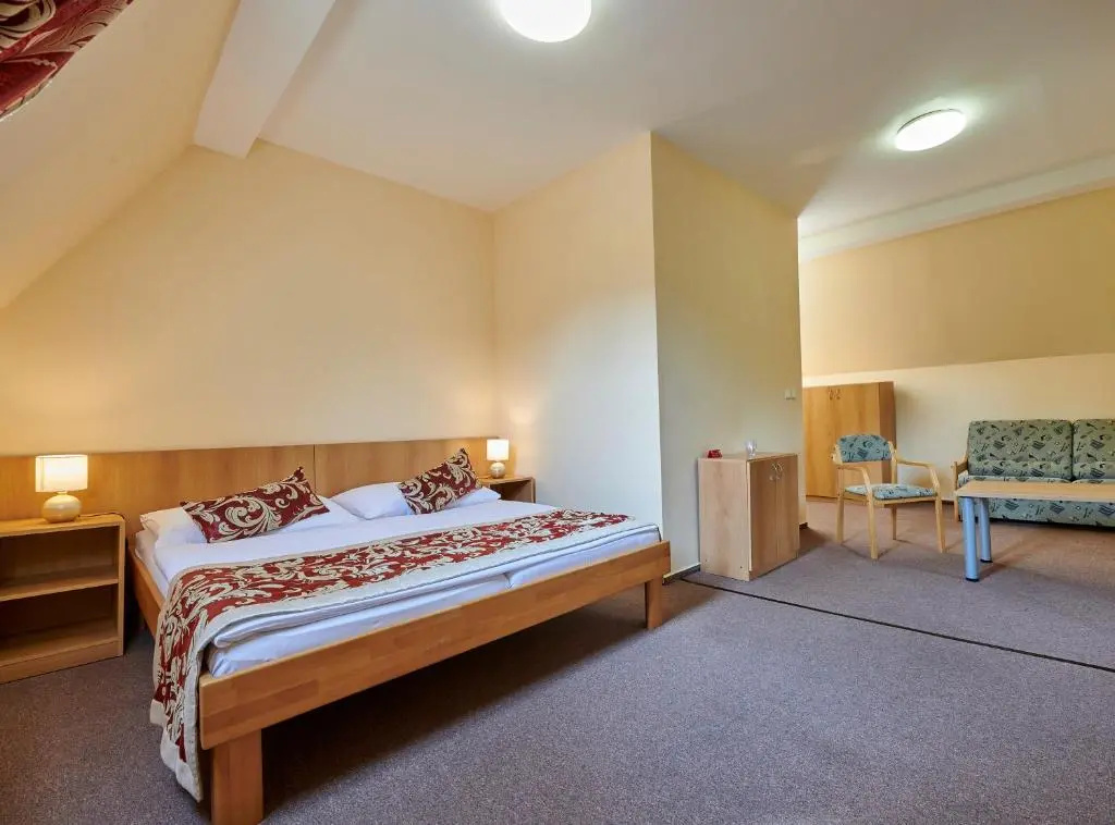 Hotel Mezní Louka - Chambres