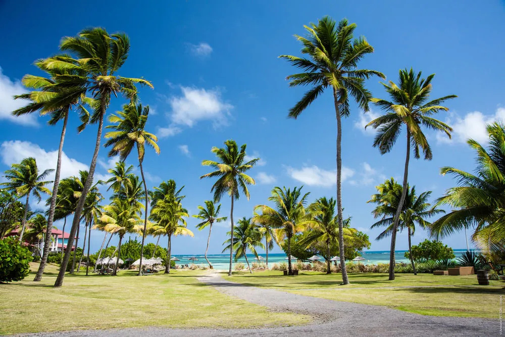 Beach & Waterfront