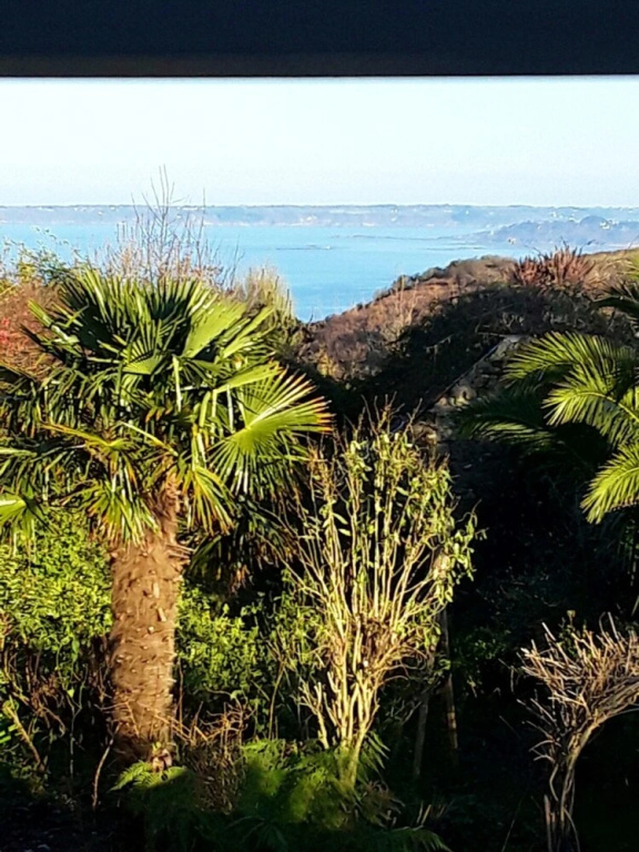 House With 2 Bedrooms in Guimaëc, With Wonderful sea View, Enclosed Ga