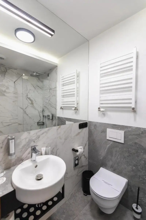 Deluxe Double room (twin beds)