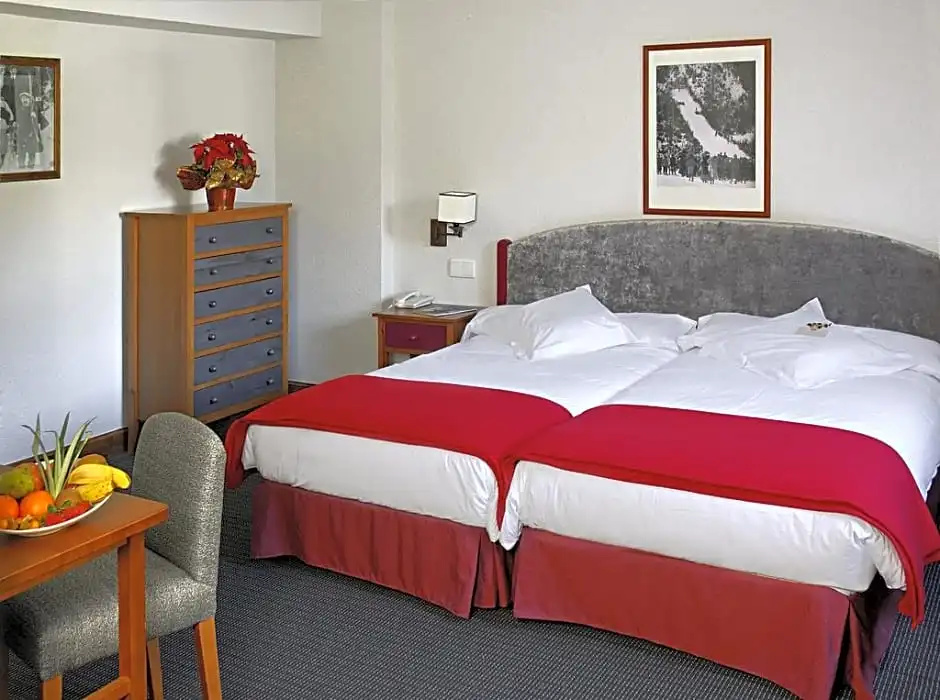 Sno Hotel Formigal - Chambres
