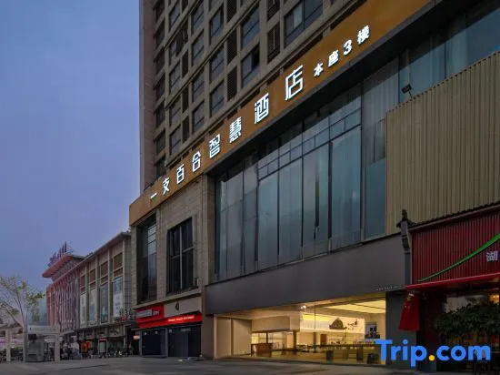 Yizhi Lily Wisdom Hotel (Hefei Bus Station Xindi City Square Branch) in Hefei