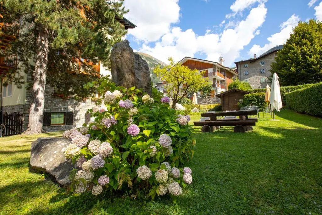 Hotel photo 14