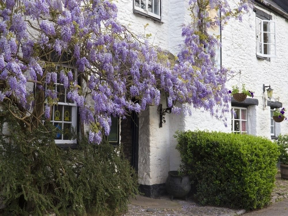 Restaurant at The Old Church House Inn