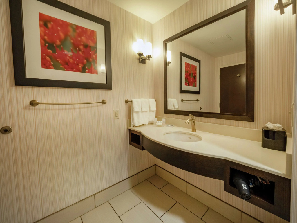 Hilton Garden Inn Buffalo Downtown - Général