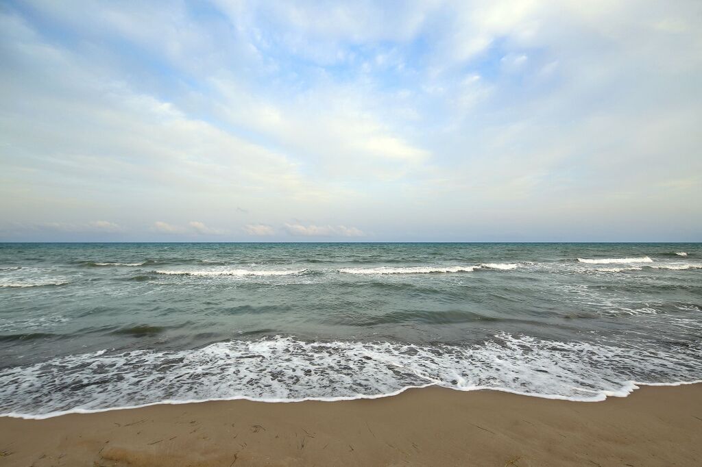 Image 21