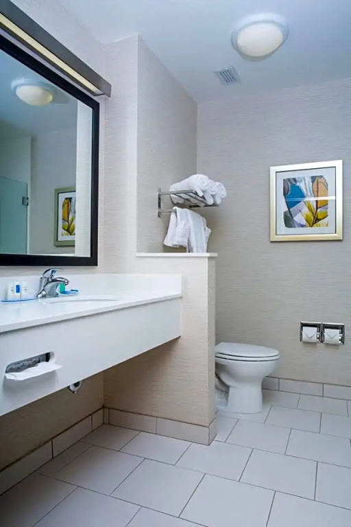 Fairfield Inn & Suites by Marriott Lincoln Southeast - Chambres