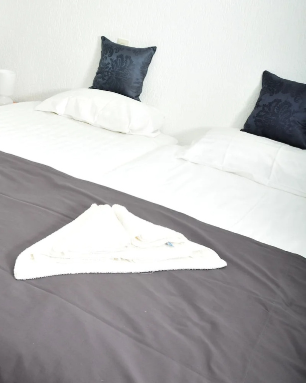 Standard Double room with balcony (twin beds)