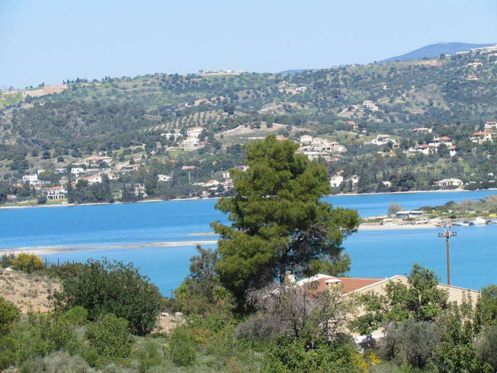 Edem Resort 4 * Edem Resort 4 *