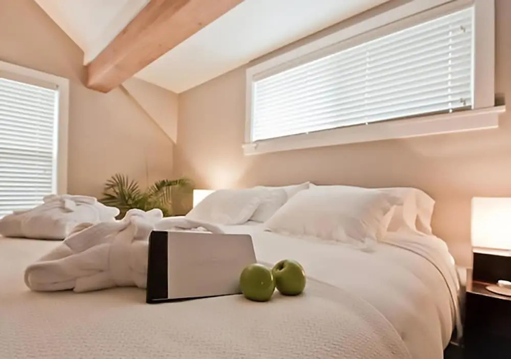 Bird Rock Hotel — фото 4