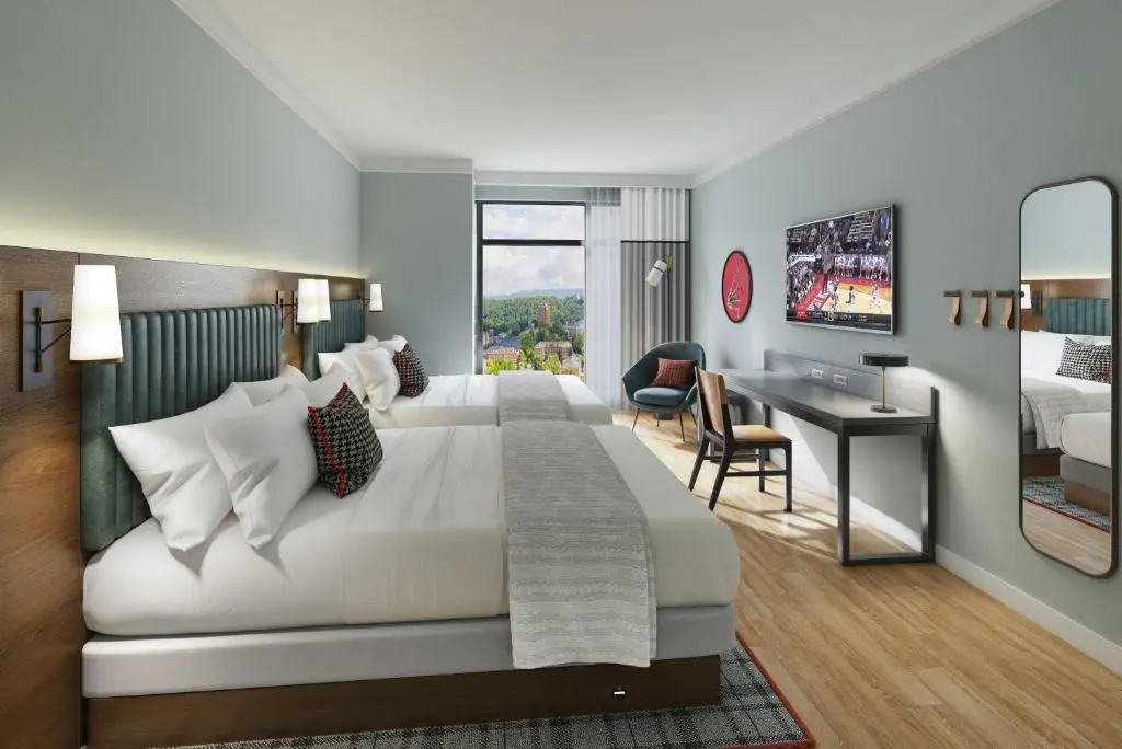 Deluxe Double room (full double bed)