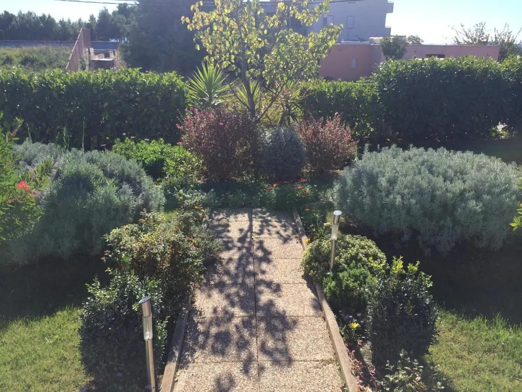 Apartment with garden view