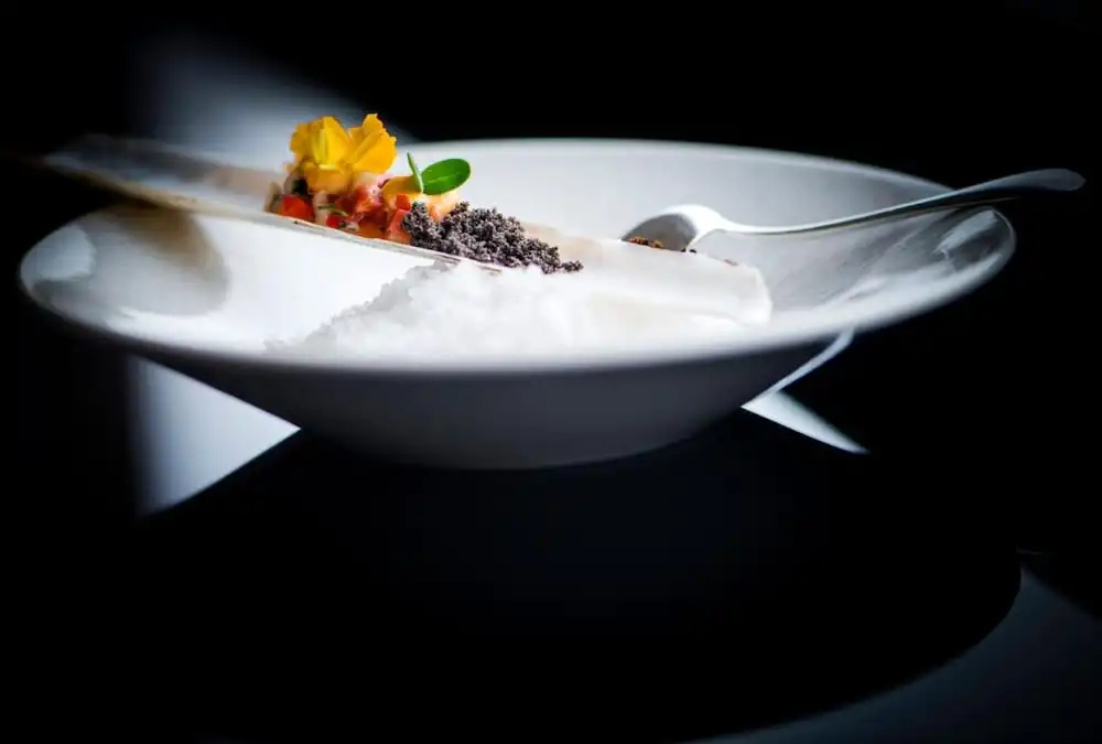 Stiemerheide - The Urban Hotel & Golf Retreat - Général