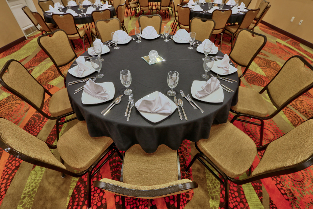 Holiday Inn Roswell by IHG - Général