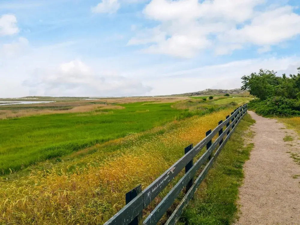 6 Person Holiday Home in Fano