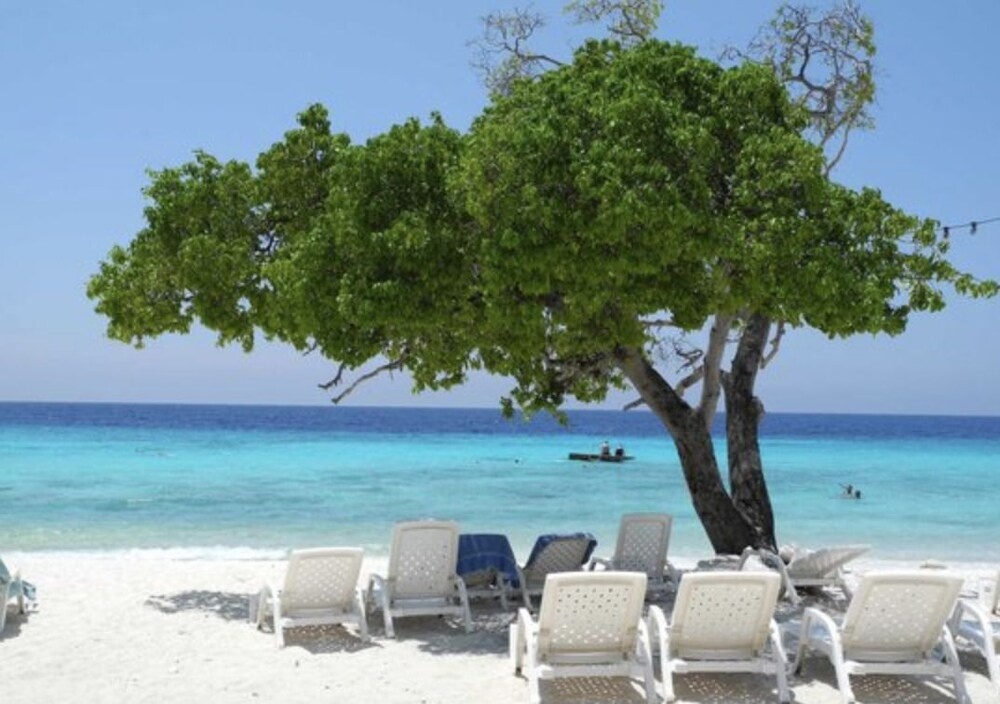 Beach & Waterfront