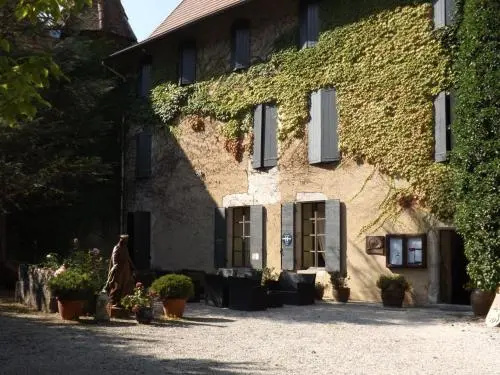 Afficher la photo 6 — Château de Passières