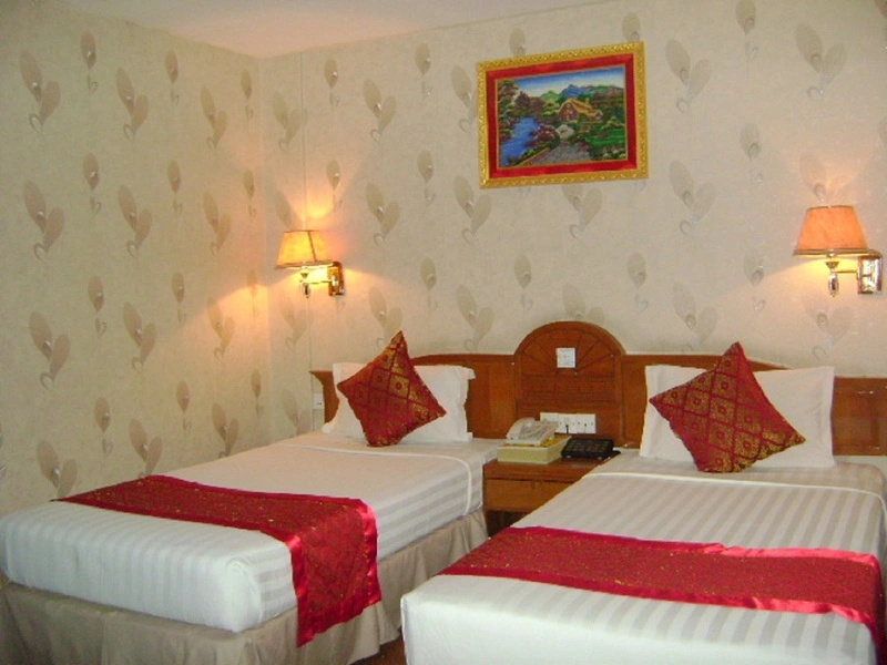 Standard Double room (twin beds)