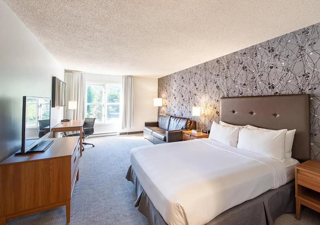 Standard Double room with mountain view (full double bed)