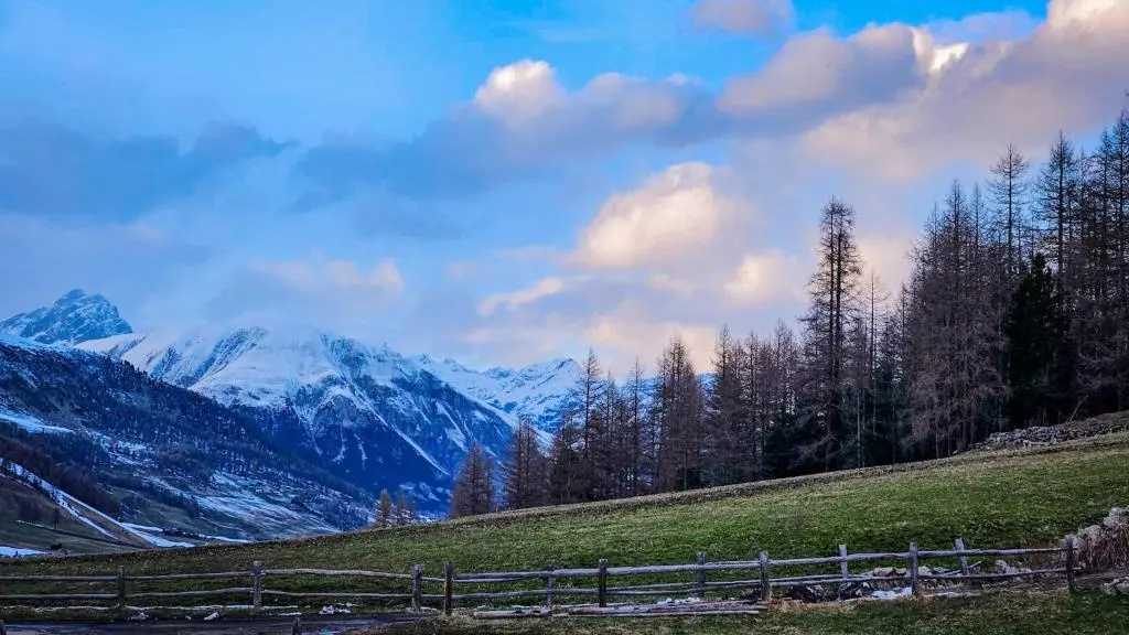 Agriturismo Bosco d'oro 1
