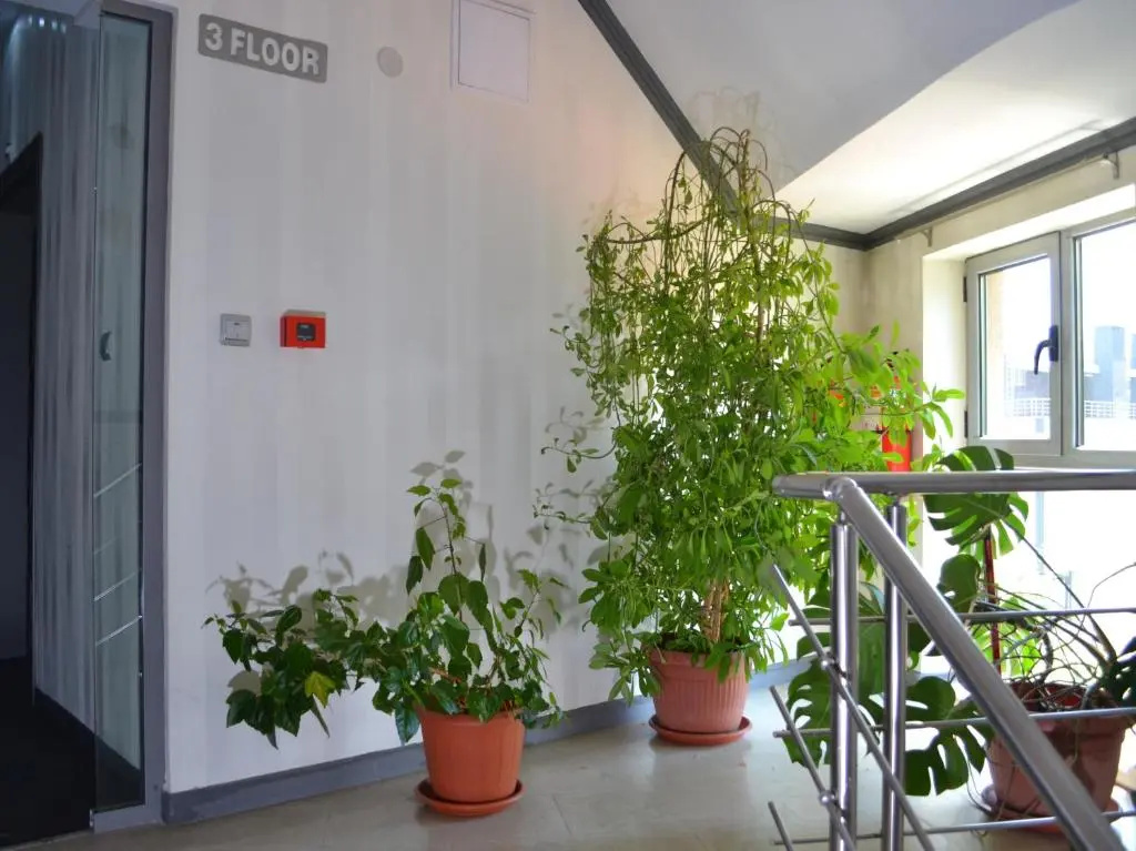 Elate Plaza Business Hotel - Chambres