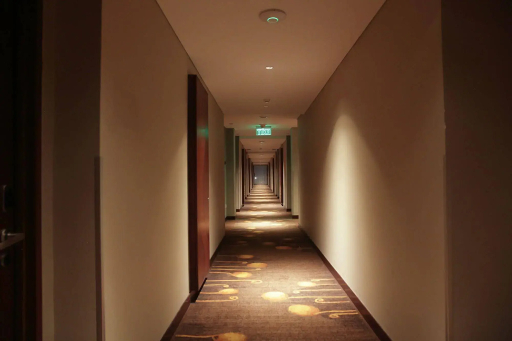 The Luxton Cirebon Hotel and Convention - Général