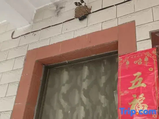 Wenshan Changte Homestay