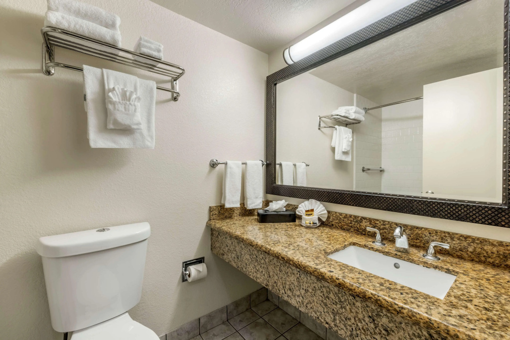 Best Western Plus South Bay Hotel - Général