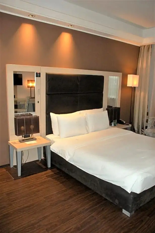 Holiday Inn Belgrade by IHG - Chambres