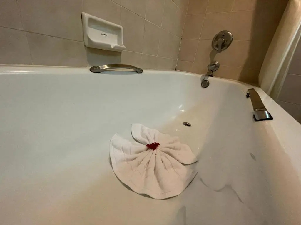 Deluxe Double room (full double bed)