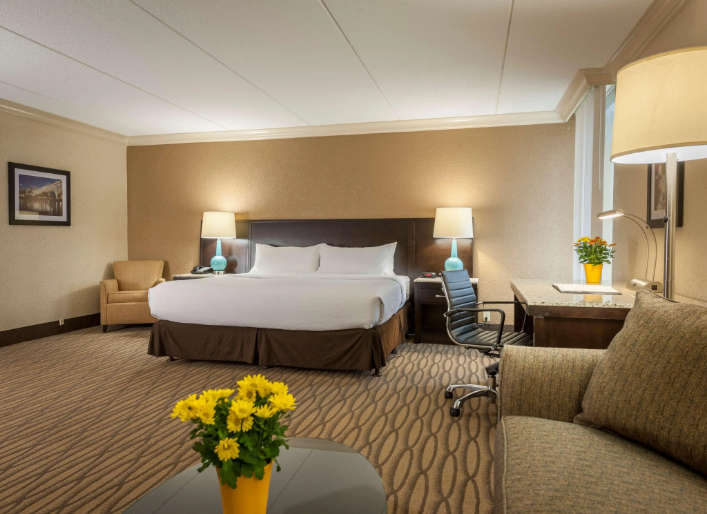 Best Western Plus Strongsville Cleveland - Général