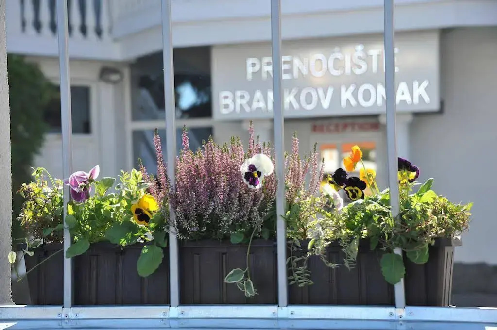 Guest House Brankov Konak