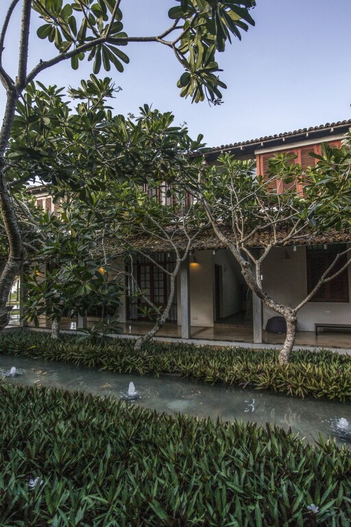 The Frangipani Tree By Edwards Collection