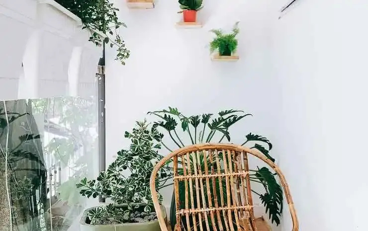 Vevy House