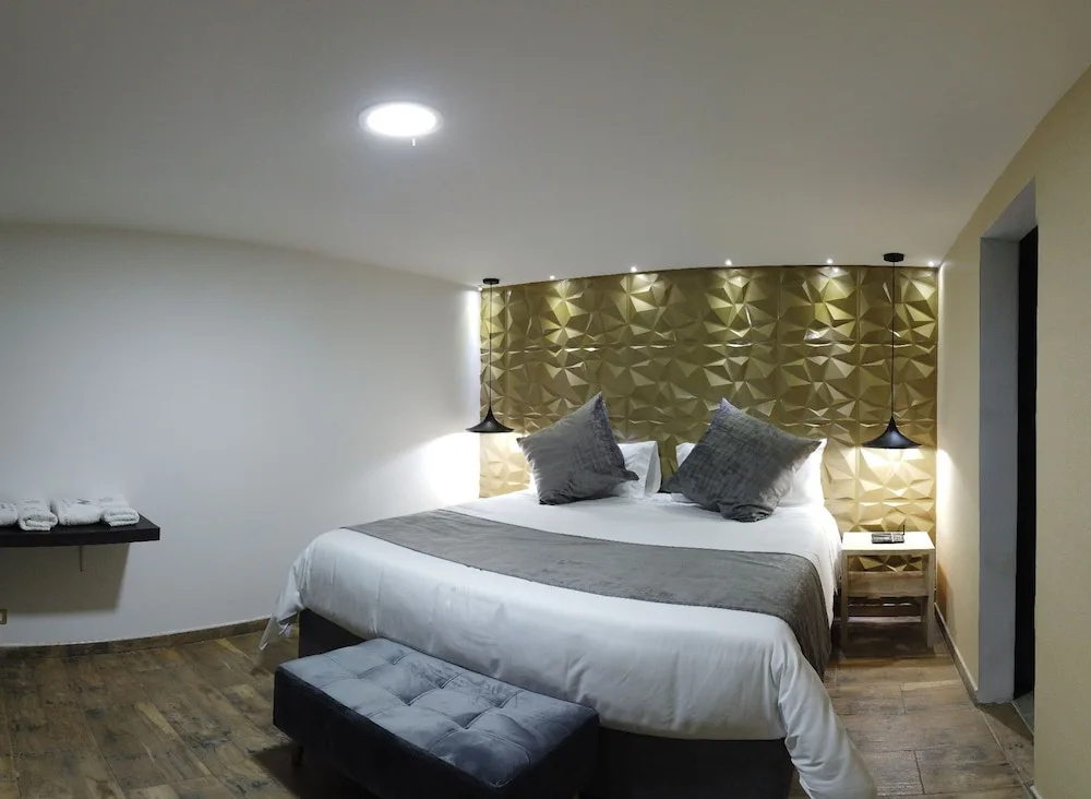 Hotel Boutique Mendoza - Général