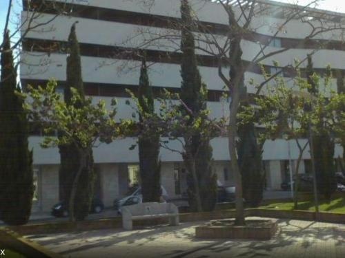 estudio santa maria