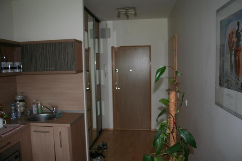 Апартаменты в Palangos apartamentai