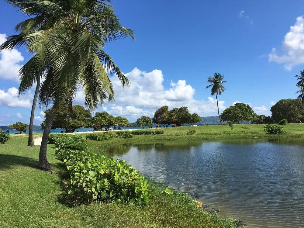 Beach & Waterfront
