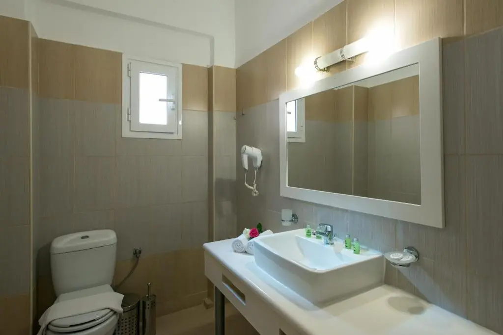 Standard Double room (twin beds)