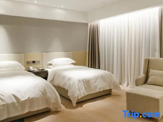Executive Double room (twin beds)