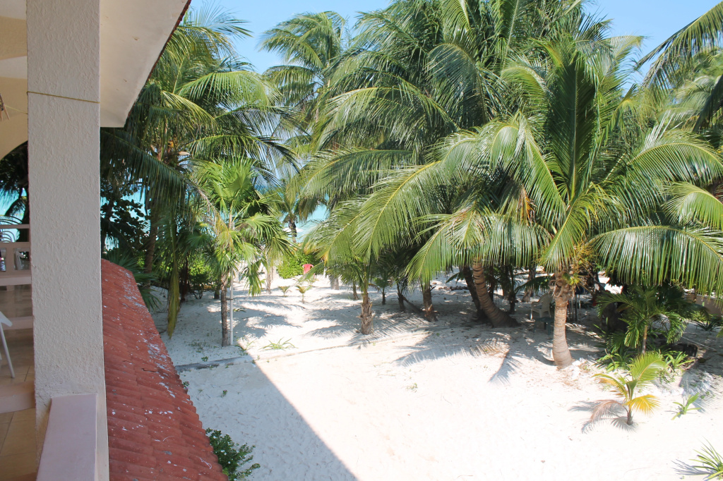 Beach & Waterfront