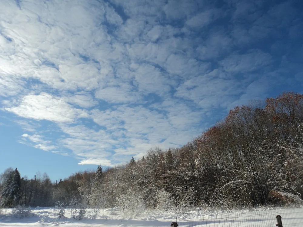 Hotel-Restaurant Vizit