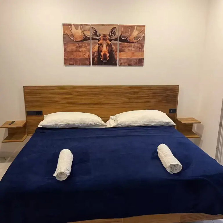Deluxe Double room (full double bed)