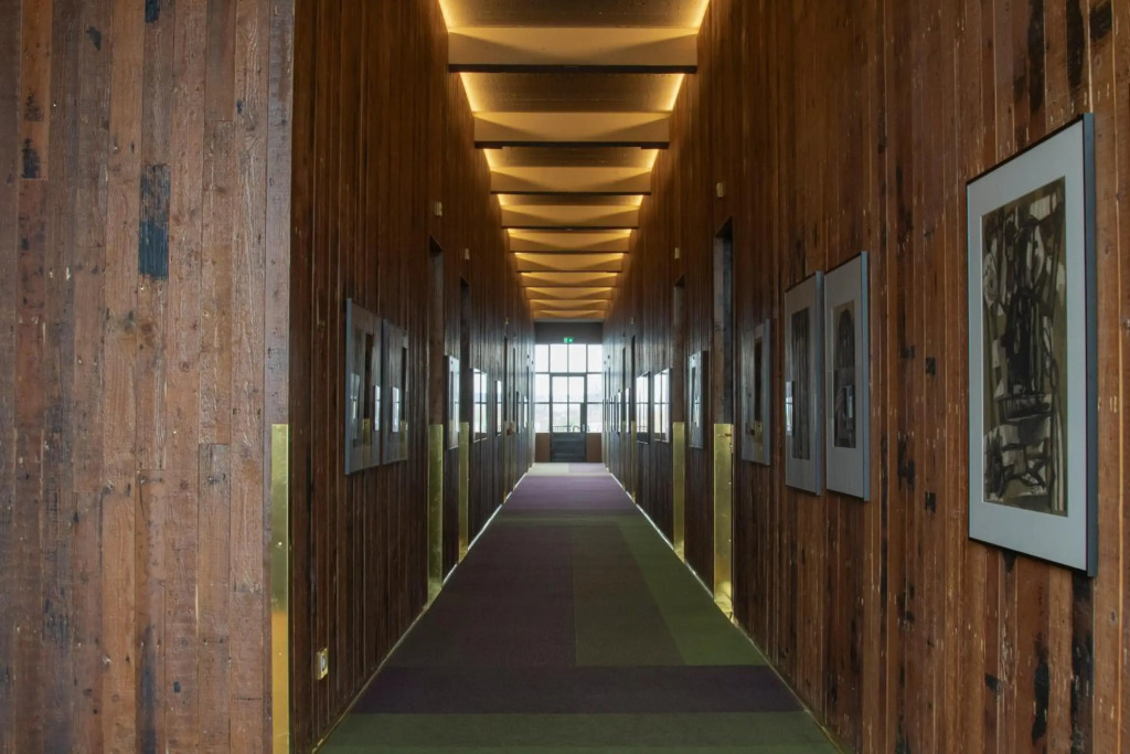 Image 15